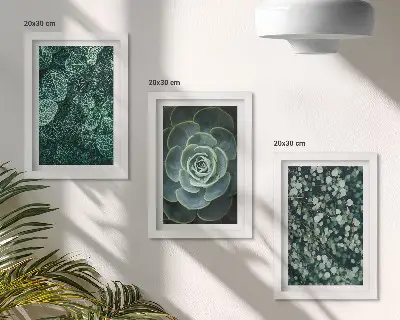 Conjunto de molduras com artes de plantas folhas verdes de suculentas e galhos delicados