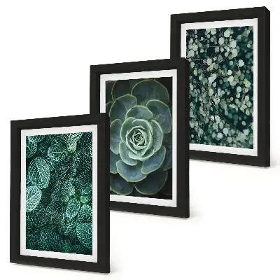 Conjunto de molduras com artes de plantas folhas verdes de suculentas e galhos delicados