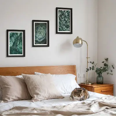 Conjunto de molduras com artes de plantas folhas verdes de suculentas e galhos delicados