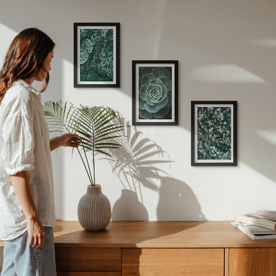 Conjunto de molduras com imagens Folhas verdes de plantas suculentas e galhos delicados