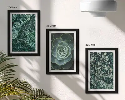 Conjunto de molduras com artes de plantas folhas verdes de suculentas e galhos delicados