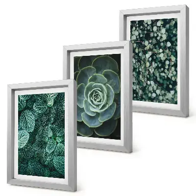Conjunto de molduras com artes de plantas folhas verdes de suculentas e galhos delicados