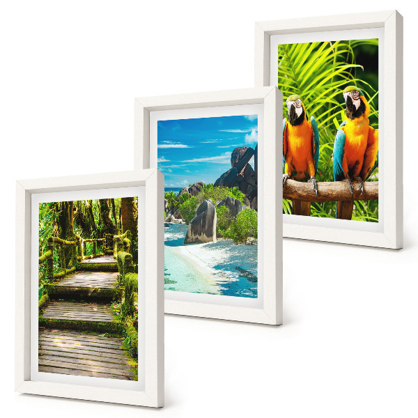 Conjunto de molduras com imagens Floresta tropical com cachoeira e papagaios coloridos.