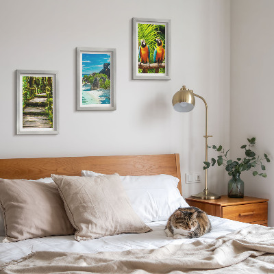 Conjunto de molduras com imagens Floresta tropical com cachoeira e papagaios coloridos.