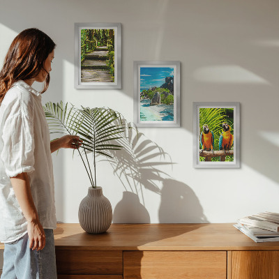 Conjunto de molduras com imagens Floresta tropical com cachoeira e papagaios coloridos.