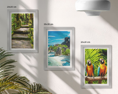 Conjunto de molduras com imagens Floresta tropical com cachoeira e papagaios coloridos.