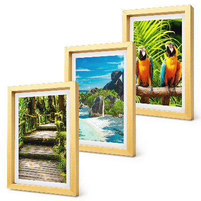 Conjunto de molduras com imagens Floresta tropical com cachoeira e papagaios coloridos.