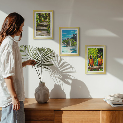Conjunto de molduras com imagens Floresta tropical com cachoeira e papagaios coloridos.