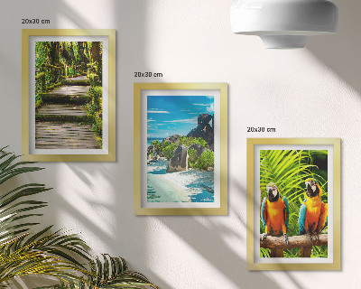 Conjunto de molduras com imagens Floresta tropical com cachoeira e papagaios coloridos.