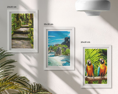 Conjunto de molduras com imagens Floresta tropical com cachoeira e papagaios coloridos.