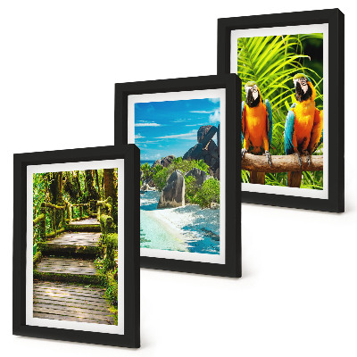 Conjunto de molduras com imagens Floresta tropical com cachoeira e papagaios coloridos.