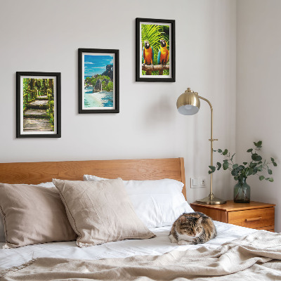 Conjunto de molduras com imagens Floresta tropical com cachoeira e papagaios coloridos.