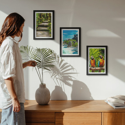 Conjunto de molduras com imagens Floresta tropical com cachoeira e papagaios coloridos.
