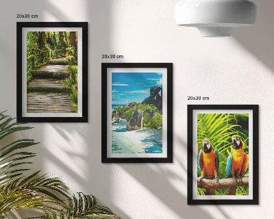 Conjunto de molduras com imagens Floresta tropical com cachoeira e papagaios coloridos.