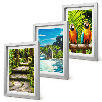 Conjunto de molduras com imagens Floresta tropical com cachoeira e papagaios coloridos.