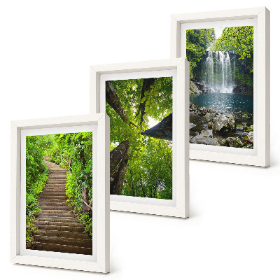 Conjunto de 3 quadros decorativos Trilha na floresta com cachoeira e vegetação verdejante.