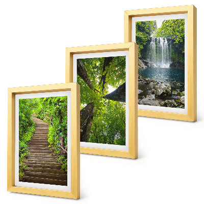 Conjunto de 3 quadros decorativos Trilha na floresta com cachoeira e vegetação verdejante.