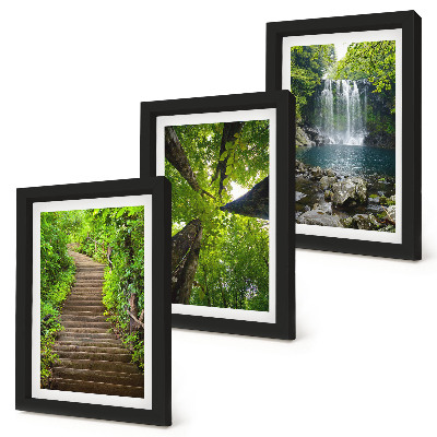 Conjunto de 3 quadros decorativos Trilha na floresta com cachoeira e vegetação verdejante.