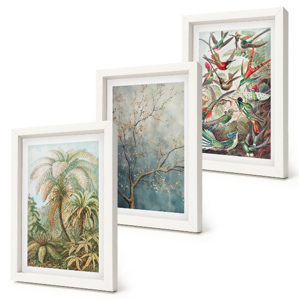 Conjunto de molduras com imagens Plantas tropicais e pássaros coloridos na natureza