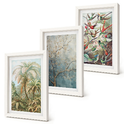 Conjunto de molduras com imagens Plantas tropicais e pássaros coloridos na natureza
