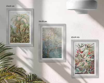 Conjunto de molduras com imagens Plantas tropicais e pássaros coloridos na natureza
