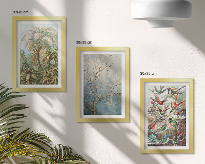 Conjunto de molduras com imagens Plantas tropicais e pássaros coloridos na natureza