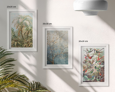 Conjunto de molduras com imagens Plantas tropicais e pássaros coloridos na natureza