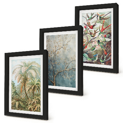 Conjunto de molduras com imagens Plantas tropicais e pássaros coloridos na natureza