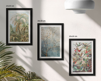 Conjunto de molduras com imagens Plantas tropicais e pássaros coloridos na natureza