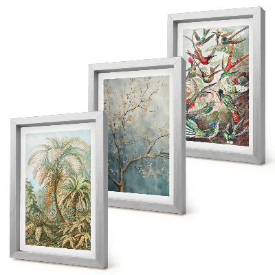 Conjunto de molduras com imagens Plantas tropicais e pássaros coloridos na natureza