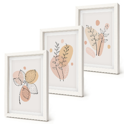 Conjunto de 3 quadros decorativos Desenhos minimalistas de plantas em tons pastel.