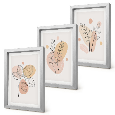 Conjunto de 3 quadros decorativos Desenhos minimalistas de plantas em tons pastel.