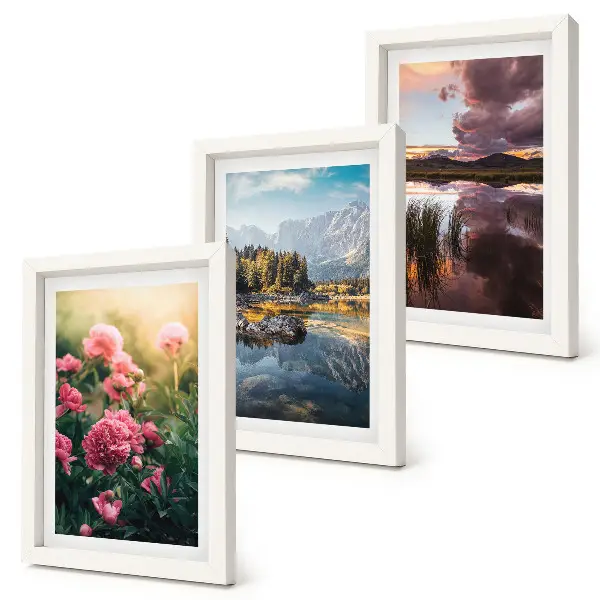Conjunto de quadros decorativos com imagens de flores no jardim, montanhas e superfície da água