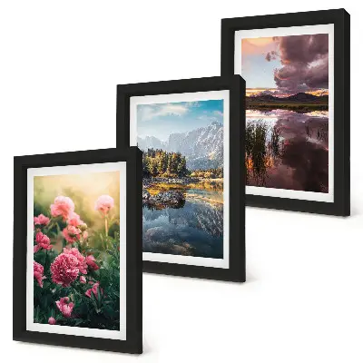 Conjunto de quadros decorativos com imagens de flores no jardim, montanhas e superfície da água