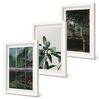 Tríptico com moldura Folhas verdes na janela e plantas dentro de casa.