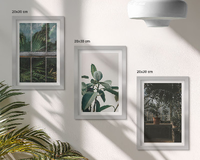 Tríptico com moldura Folhas verdes na janela e plantas dentro de casa.