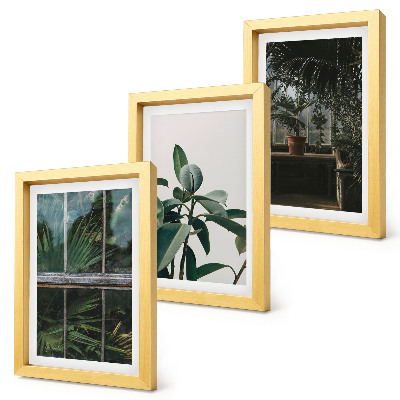 Tríptico com moldura Folhas verdes na janela e plantas dentro de casa.