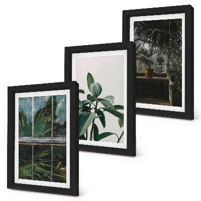 Tríptico com moldura Folhas verdes na janela e plantas dentro de casa.