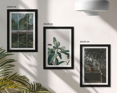 Tríptico com moldura Folhas verdes na janela e plantas dentro de casa.