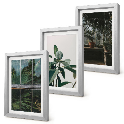 Tríptico com moldura Folhas verdes na janela e plantas dentro de casa.
