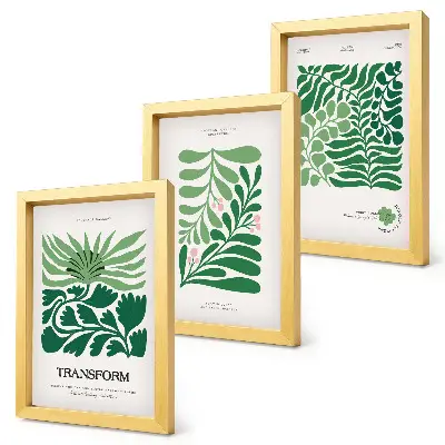 Conjunto de 3 quadros decorativos com estampas de folhas e plantas em diversos formatos