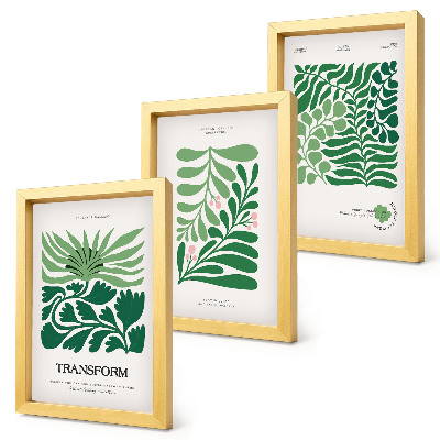 Conjunto de 3 quadros decorativos Um conjunto de folhas verdes e plantas em vários formatos.