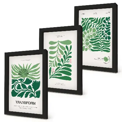 Conjunto de 3 quadros decorativos com estampas de folhas e plantas em diversos formatos