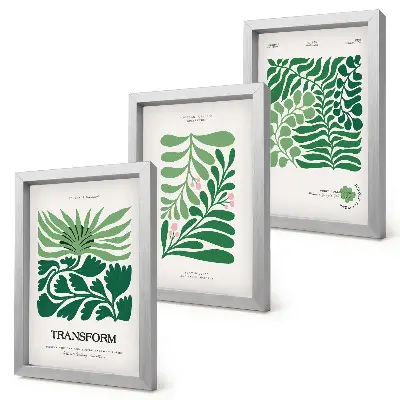 Conjunto de 3 quadros decorativos com estampas de folhas e plantas em diversos formatos