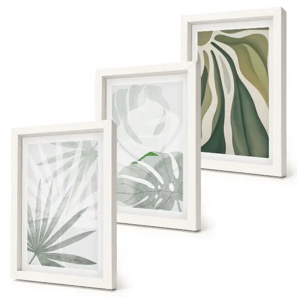 Conjunto de molduras com imagens com folhas de plantas em tons de verde e cinza