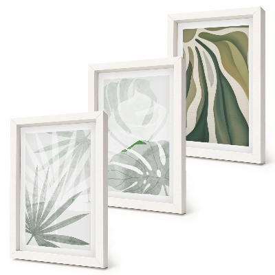 Conjunto de molduras com imagens Folhas de plantas em tons de verde e cinza.