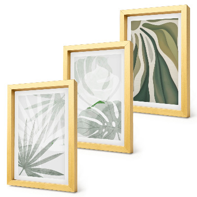 Conjunto de molduras com imagens Folhas de plantas em tons de verde e cinza.