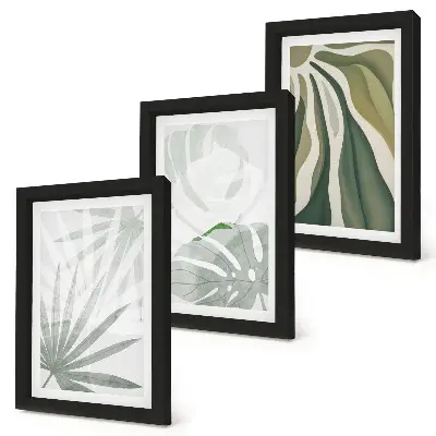 Conjunto de molduras com imagens com folhas de plantas em tons de verde e cinza