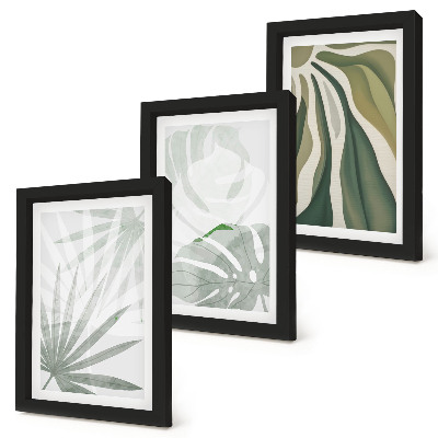 Conjunto de molduras com imagens Folhas de plantas em tons de verde e cinza.