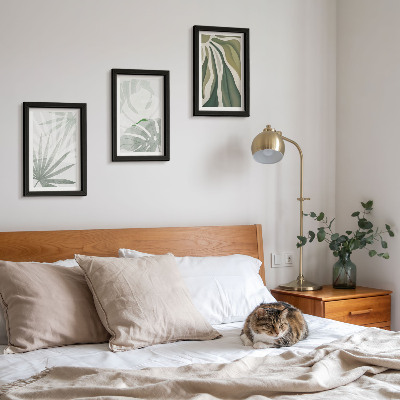 Conjunto de molduras com imagens Folhas de plantas em tons de verde e cinza.